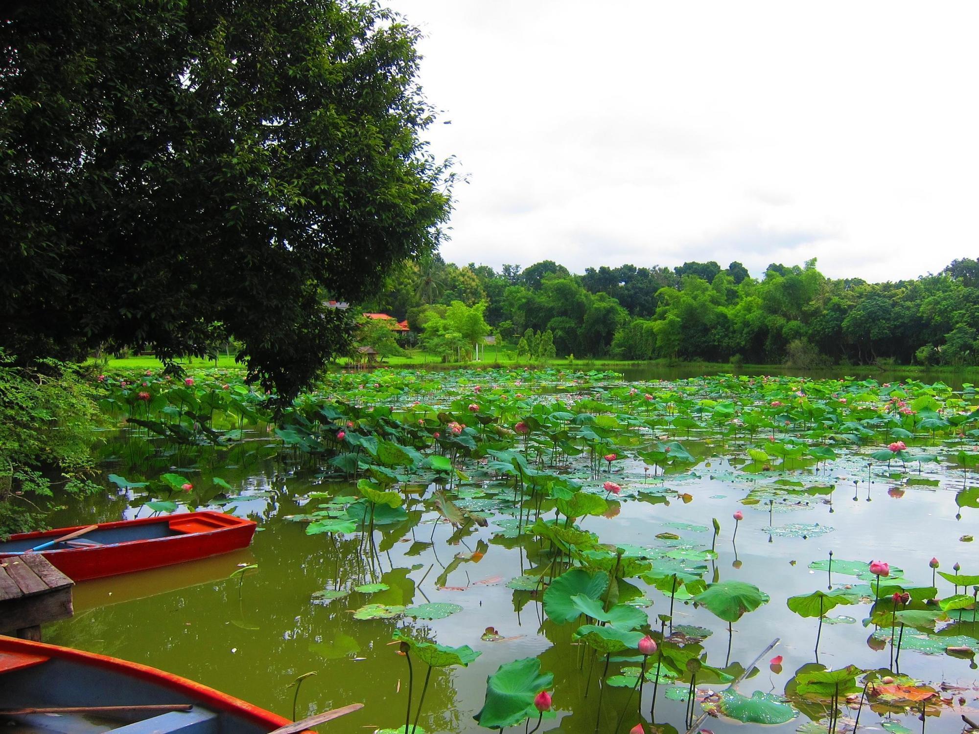 Mae Rim Lagoon Bed & Bakery Exterior foto
